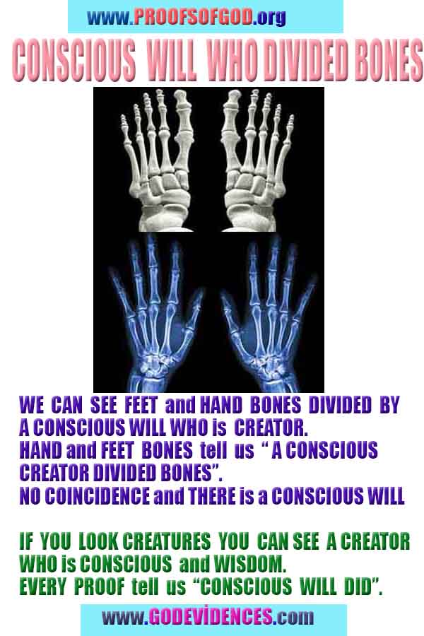 proofs of God, Evidences of GOD, Proofs God, Evidences God, God exists, God is real, Proofs of existance of God