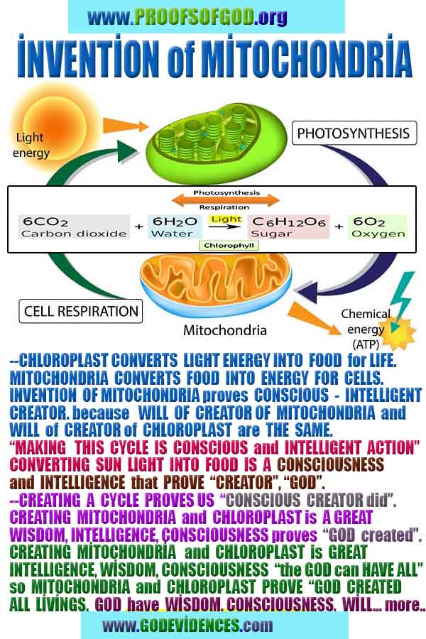 proofs of God, Evidences of GOD, Proofs God, Evidences God, God exists, God is real, Proofs of existance of God