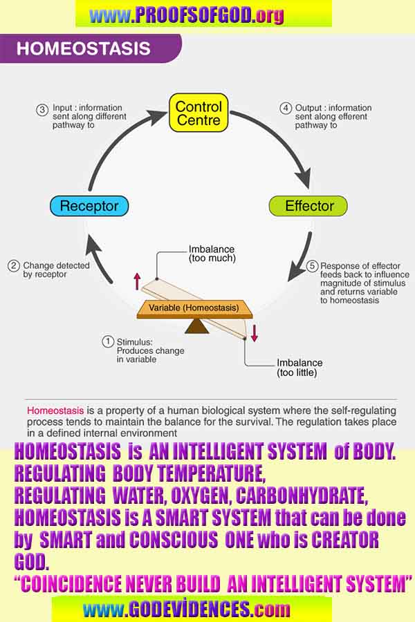 proofs of God, Evidences of GOD, Proofs God, Evidences God, God exists, God is real, Proofs of existance of God
