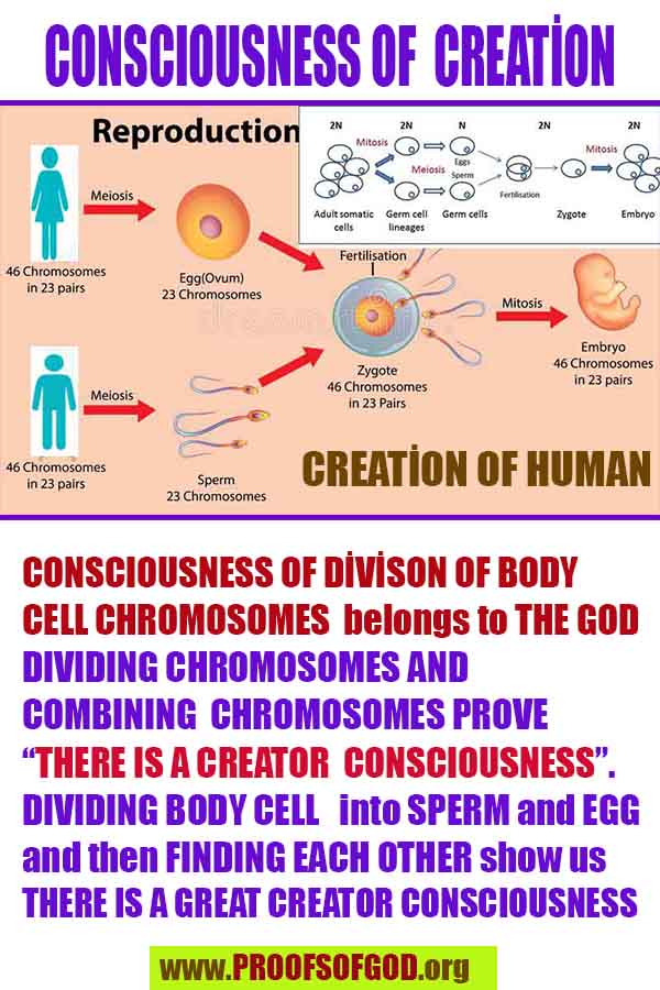 proofs of God, Evidences of GOD, Proofs God, Evidences God, God exists, God is real, Proofs of existance of God