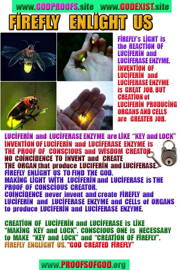 proofs of God, Evidences of GOD, Proofs God, Evidences God, God exists, God is real, Proofs of existance of God