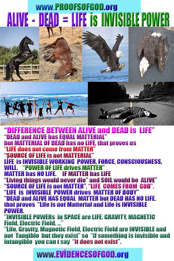 proofs of God, Evidences of GOD, Proofs God, Evidences God, God exists, God is real, Proofs of existance of God