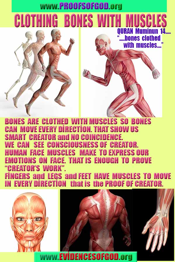 proofs of God, Evidences of GOD, Proofs God, Evidences God, God exists, God is real, Proofs of existance of God