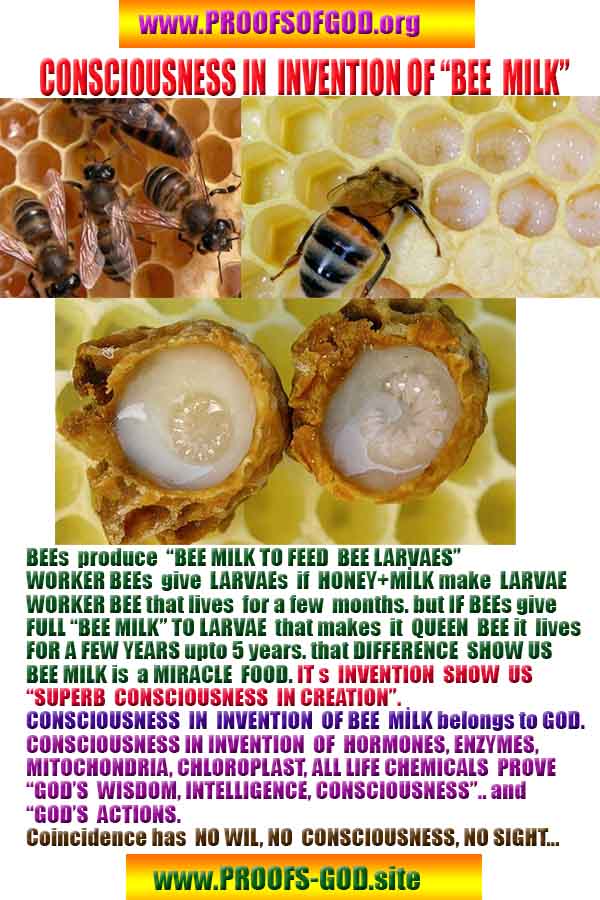 proofs of God, Evidences of GOD, Proofs God, Evidences God, God exists, God is real, Proofs of existance of God